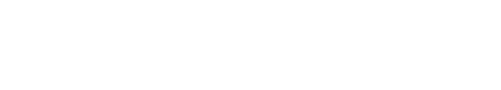 Interconnect Consulting Group